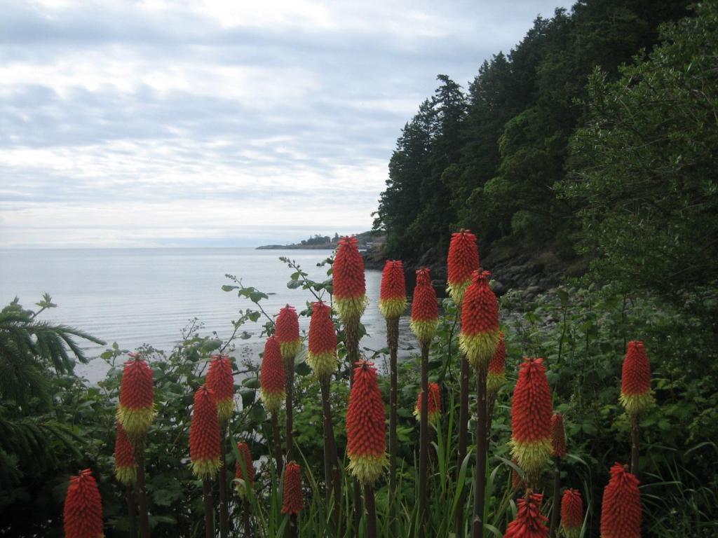 The Lodge At Weir'S Beach Metchosin Kültér fotó